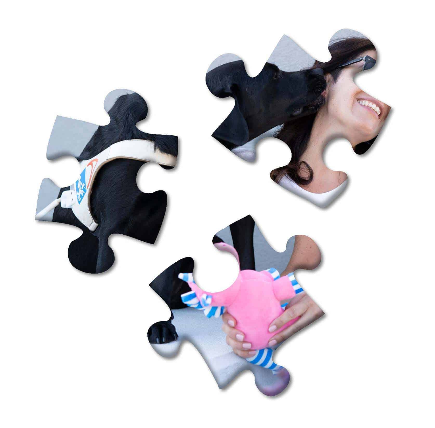 Barbara Veccia puzzle