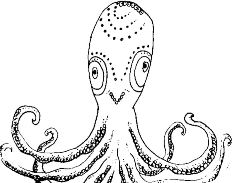 flyer-atelier-octopus flyer-atelier-octopus