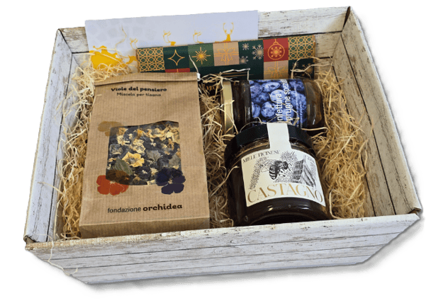 cestoni-copia cestoni-copia