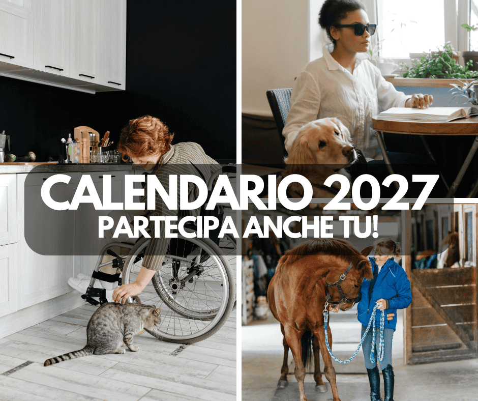 calendario-2027_news_ricerca-testimonial